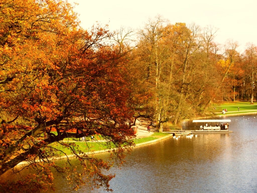 Arbres aux couleurs d’automne au bord du lac du Bois de la Cambre à Bruxelles