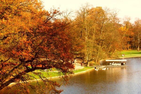 Arbres aux couleurs d’automne au bord du lac du Bois de la Cambre à Bruxelles